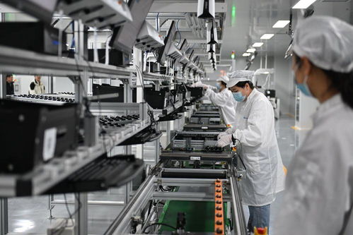 雄安新區(qū) 未來之城展新姿，綠化服務鑄就生態(tài)典范